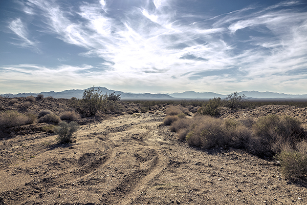 Desierto de Mojave. CALIFORNIA